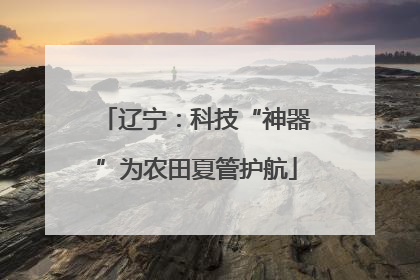 辽宁：科技“神器”为农田夏管护航