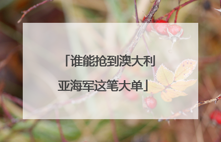 谁能抢到澳大利亚海军这笔大单