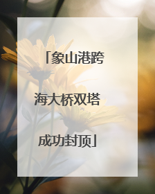 象山港跨海大桥双塔成功封顶