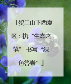 贺兰山下西夏区：执“生态之笔” 书写“绿色答卷”