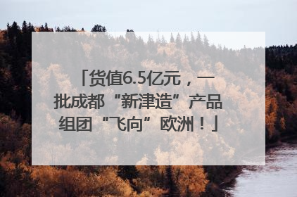 货值6.5亿元，一批成都“新津造”产品组团“飞向”欧洲！