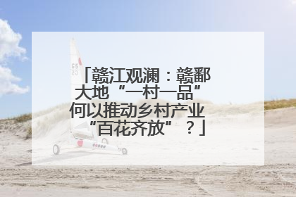 赣江观澜：赣鄱大地“一村一品”何以推动乡村产业“百花齐放”？