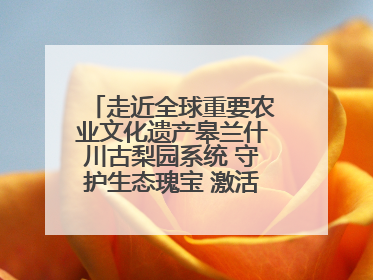 走近全球重要农业文化遗产皋兰什川古梨园系统 守护生态瑰宝 激活发展动能