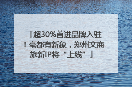 超30%首进品牌入驻！亳都有新象，郑州文商旅新IP将“上线”