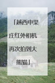 越西申果庄红外相机再次拍到大熊猫