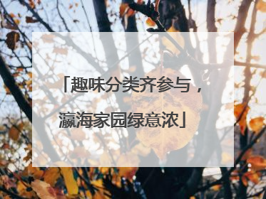 趣味分类齐参与，瀛海家园绿意浓