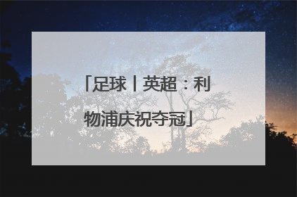 足球丨英超：利物浦庆祝夺冠
