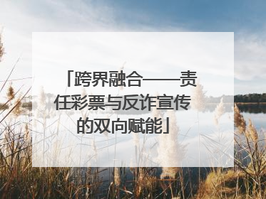 跨界融合——责任彩票与反诈宣传的双向赋能