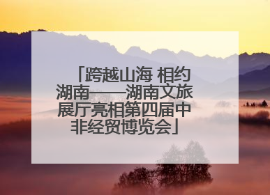 跨越山海 相约湖南——湖南文旅展厅亮相第四届中非经贸博览会