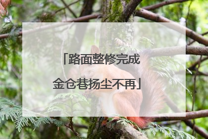 路面整修完成 金仓巷扬尘不再