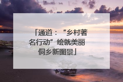 通道：“乡村著名行动”绘就美丽侗乡新图景