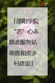 邵阳学院“艺”心志愿者服务站助推和美乡村建设