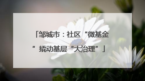 邹城市：社区“微基金”撬动基层“大治理”