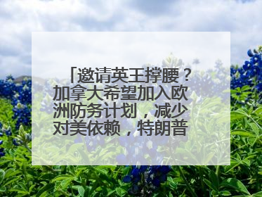 邀请英王撑腰？加拿大希望加入欧洲防务计划，减少对美依赖，特朗普：成为美国第51个州，免费用“金穹”