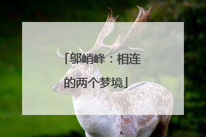 邬峭峰：相连的两个梦境