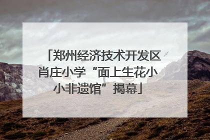 郑州经济技术开发区肖庄小学“面上生花小小非遗馆”揭幕