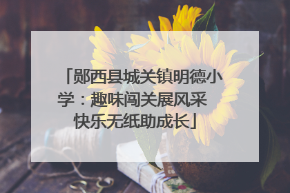 郧西县城关镇明德小学：趣味闯关展风采 快乐无纸助成长