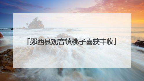 郧西县观音镇桃子喜获丰收