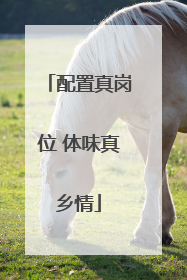 配置真岗位 体味真乡情