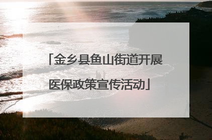 金乡县鱼山街道开展医保政策宣传活动