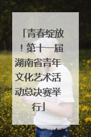 青春绽放！第十一届湖南省青年文化艺术活动总决赛举行