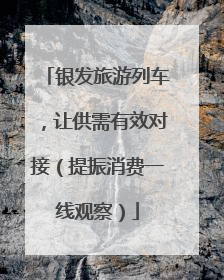 银发旅游列车，让供需有效对接（提振消费一线观察）