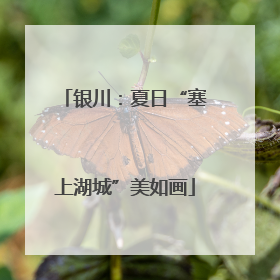 银川：夏日“塞上湖城”美如画