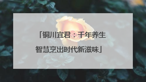 铜川宜君：千年养生智慧烹出时代新滋味