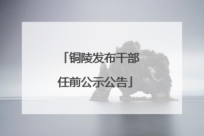 铜陵发布干部任前公示公告