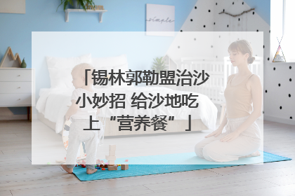 锡林郭勒盟治沙小妙招 给沙地吃上“营养餐”