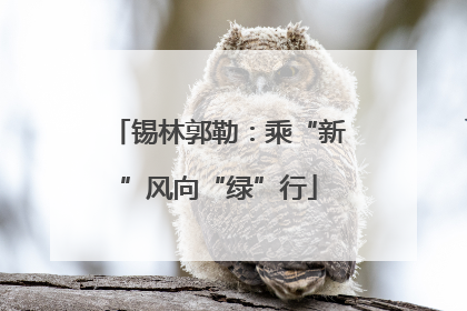 锡林郭勒：乘“新”风向“绿”行