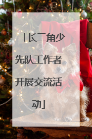 长三角少先队工作者开展交流活动