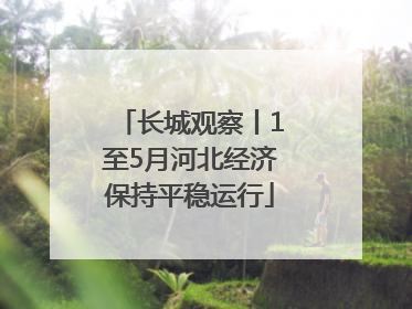 长城观察丨1至5月河北经济保持平稳运行