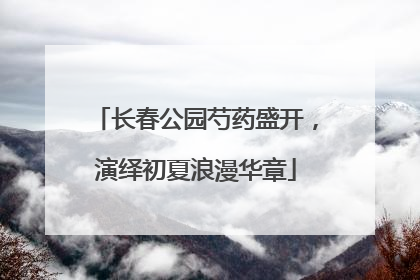 长春公园芍药盛开，演绎初夏浪漫华章