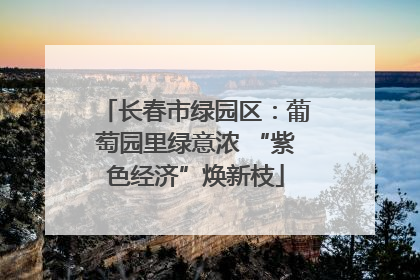 长春市绿园区：葡萄园里绿意浓 “紫色经济”焕新枝