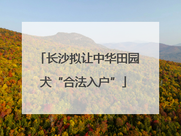 长沙拟让中华田园犬“合法入户”