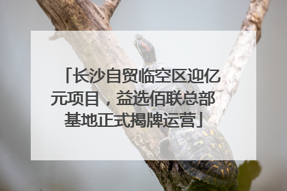长沙自贸临空区迎亿元项目，益选佰联总部基地正式揭牌运营