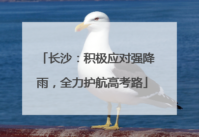 长沙：积极应对强降雨，全力护航高考路
