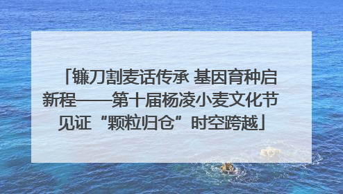 镰刀割麦话传承 基因育种启新程——第十届杨凌小麦文化节见证“颗粒归仓”时空跨越