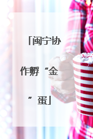 闽宁协作孵“金”蛋