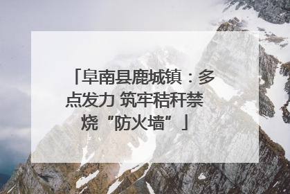 阜南县鹿城镇：多点发力 筑牢秸秆禁烧“防火墙”