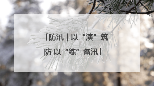 防汛｜以“演”筑防 以“练”备汛