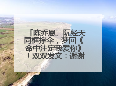 陈乔恩、阮经天同框撑伞，梦回《命中注定我爱你》！双双发文：谢谢我们都没变