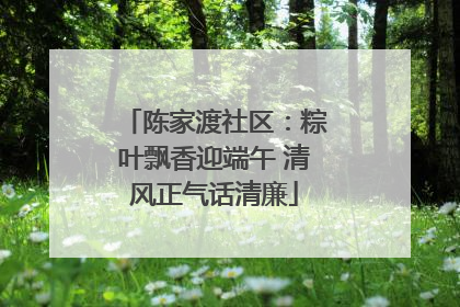 陈家渡社区：粽叶飘香迎端午 清风正气话清廉