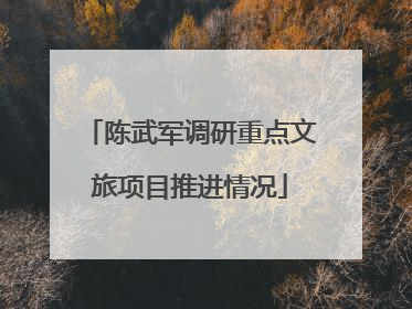 陈武军调研重点文旅项目推进情况