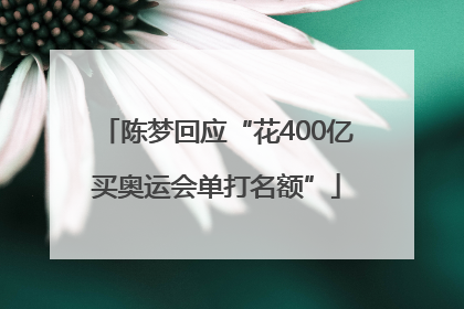 陈梦回应“花400亿买奥运会单打名额”