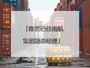 陈詟已任南航集团副总经理