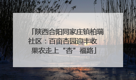 陕西合阳同家庄镇柏瑞社区：百亩杏园迎丰收 果农走上“杏”福路
