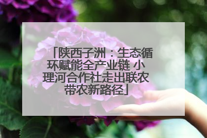 陕西子洲：生态循环赋能全产业链 小理河合作社走出联农带农新路径