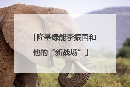 隆基绿能李振国和他的“新战场”